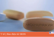 Bộ Y tế khuyến cáo sử dụng thuốc Molnupiravir an toàn và hiệu quả