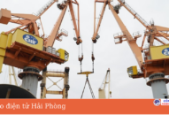 Cảng Hải Phòng: Xếp dỡ hơn 530 nghìn tấn hàng hóa trong dịp Tết Nguyên đán Nhâm Dần 2022