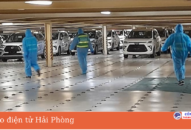 Cảng Hải Phòng: Xếp dỡ thành công 795 xe ô tô tại chi nhánh cảng Tân Vũ