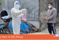 Hải Phòng được phân bổ 10.000 liều thuốc Molnupiravir để điều trị F0 có kiểm soát