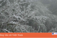 Không khí lạnh tăng cường từ đêm 22/2, Bắc Bộ và Bắc Trung Bộ rét hại