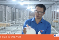 Nuôi thỏ tuần hoàn bằng những thứ cỏ lạ này, anh nông dân Hải Phòng giàu hẳn lên