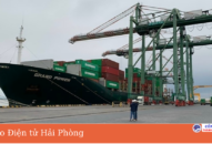 Cảng biển Hải Phòng đón 22 tàu trong 2 ngày đầu năm mới