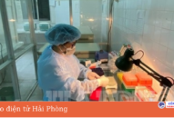 Các cơ sở y tế của Hải Phòng không mua bộ xét nghiệm PCR của Công ty CP Y tế Đức Minh