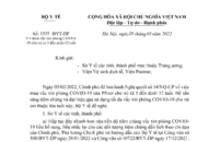 Chuẩn bị triển khai tiêm vắc xin phòng COVID-19 cho trẻ từ 5 đến dưới 12 tuổi