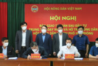 Bàn giao tài sản sau đầu tư Trung tâm Dạy nghề và Hỗ trợ nông dân thành phố Hải Phòng