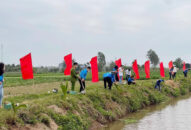 Phát huy vai trò xung kích, tình nguyện của tuổi trẻ thành phố trong xây dựng nông thôn mới