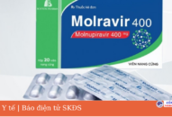 Đề xuất 2 phương án cung ứng thuốc Molnupiravir điều trị COVID-19