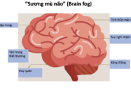 Hậu COVID-19: Vì sao có tình trạng ‘nhớ nhớ quên quên’, mất tập trung?