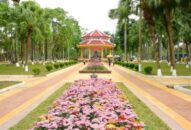 Chuyện thời cuộc: Lá phổi đô thị