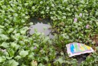 Phát hiện thi thể cháu bé mới sinh ở khu vực cống Cẩn, phường Tràng Minh, Kiến An