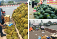 Các điểm bán hàng “đội lốt” giải cứu nông sản: Đừng để lòng tốt bị lợi dụng