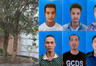 CAH An Dương: Vạch mặt nhóm đối tượng trộm cắp cây cảnh tại các đình, chùa và nhà dân