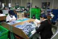 Các doanh nghiệp ở Hải Phòng: Không nên trì hoãn tăng lương tối thiểu vùng