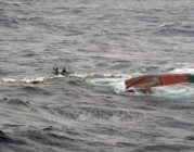 Đồn Biên phòng Cát Bà: Cứu sống kịp thời một ngư dân gặp nạn trên biển