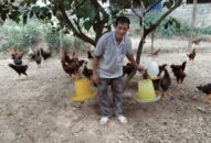 Lão nông làm giàu từ mô hình gia trại nuôi gà thả đồi