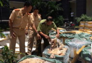 Nỗi buồn thực phẩm bẩn