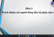 Điều 9. Trách nhiệm của người đứng đầu Bộ phận Một cửa (Nghị định số 01 về thực hiện cơ chế một cửa, một cửa liên thông trong giải quyết thủ tục hành chính)
