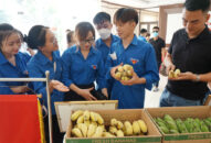 Hành trình Thanh niên Hải Phòng với OCOP năm 2022: Tạo tiền đề để thanh niên nông thôn lập thân lập nghiệp trên mảnh đất quê hương