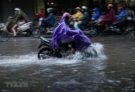 Cập nhật thời tiết 10 ngày tới