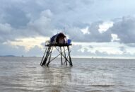 Giải tỏa, di dời hoạt động nuôi ngao tự phát tại các vùng bãi triều ven biển: Quyết liệt lập lại kỷ cương (kỳ 1)