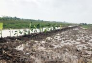 Xã Giang Biên (huyện Vĩnh Bảo): Hoàn thành giao lại đất cho các hộ dân