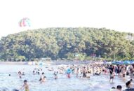 Từ 15 giờ ngày 25/8, đình chỉ các hoạt động giao thông vận tải đường thuỷ nội địa, phà sông, phà biển để tránh ảnh hưởng của bão số 3