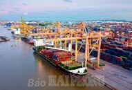 Cảng Hải Phòng áp dụng chính sách miễn lưu container trong dịp nghỉ lễ Quốc khánh 2/9