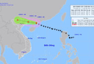 Chủ động ứng phó với gió mạnh và mưa lớn có thể xảy ra do ảnh hưởng của Bão số 3