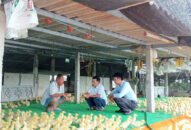 Làm giàu từ mô hình chăn nuôi kết hợp thủy sản-thủy cầm