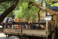 Hải Phòng: Đổ cột điện ngay cạnh trường mầm non