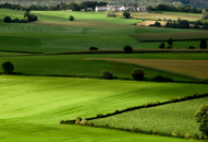 Mở rộng hạn mức nhận chuyển nhượng quyền sử dụng đất nông nghiệp