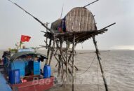 Trong sáng 9/9, quận Hải An hoàn thành cưỡng chế toàn bộ khu vực nuôi ngao trái phép trên biển