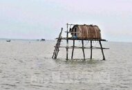 Các hộ nuôi ngao tại khu vực biển trên địa bàn huyện Tiên Lãng chủ động thu hoạch ngao, tháo dỡ công trình phục vụ nuôi ngao trước ngày 25/9/2022