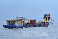 Huyện Kiến Thụy: Yêu cầu các hộ nuôi ngao không phép thu hoạch ngao, di chuyển tài sản trước ngày 10/10