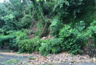 Thực hiện các biện pháp đảm bảo an toàn tuyệt đối cho người dân tại các khu vực bị ảnh hưởng sạt lở trên địa bàn quận Đồ Sơn