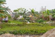 Quận Ngô Quyền thông tin việc tuyên truyền, vận động 04 cá nhân vi phạm hành chính về đất đai tại khu vực Cánh đồng Linh