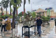 32 tỉnh thành tham gia triển lãm và hội chợ sinh vật cảnh tại huyện An Dương