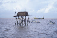 Kết luận của Chủ tịch UBND thành phố tại cuộc họp nghe báo cáo tiến độ kiểm tra, xử lý vi phạm hành chính đối với các hộ nuôi ngao trên biển tại địa bàn huyện Kiến Thụy