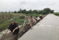 Hội Nông dân phường Tràng Minh (Kiến An): Dọn vệ sinh môi trường, trồng hoa tuyến đường nội đồng dài gần 1.000m