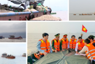 Hải Phòng thông tin về việc di dời, giải tỏa hoạt động nuôi ngao không phép tại khu vực biển trên địa bàn quận Hải An, huyện Kiến Thụy