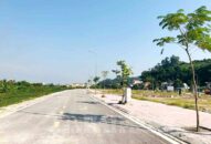 Quận Đồ Sơn thu hơn 115 tỷ đồng tiền đấu giá 57 lô đất