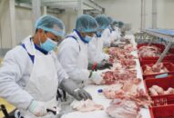 Từ 30/10, 12 loại Giấy chứng nhận có giá trị tương đương Giấy chứng nhận điều kiện vệ sinh thú y