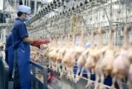 Đánh giá trực tuyến để cấp Giấy chứng nhận điều kiện vệ sinh thú y