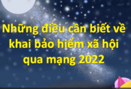 Những điều cần biết về khai bảo hiểm xã hội qua mạng 2022