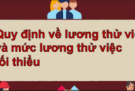 Quy định về lương thử việc và mức lương thử việc  tối thiểu