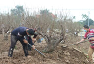 Dân khá giả nhờ chuyển đổi đất lúa kém hiệu quả sang trồng hoa cây cảnh