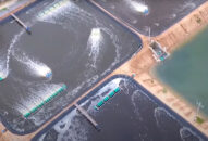 Nuôi cá rô phi công nghệ Biofloc, năng suất tăng 50%