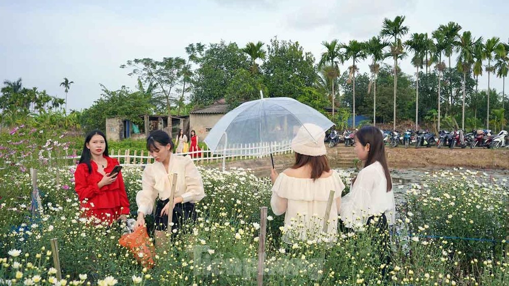 Mô hình du lịch nông trại ở Thanh Hóa Xu hướng mới lạ hút du khách