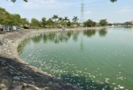 Hải Phòng: Cá chết hàng loạt ở hồ điều hòa có thể do nước nhiễm mặn